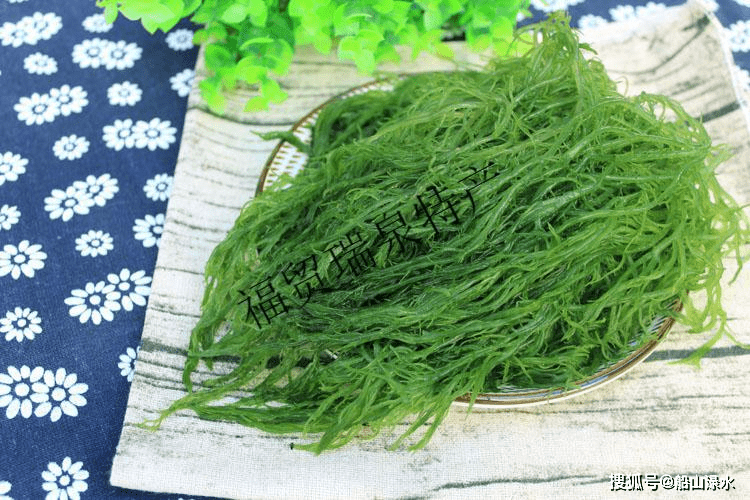 鈕魯生:大海·故鄉(11)_石花菜_海菜_青島