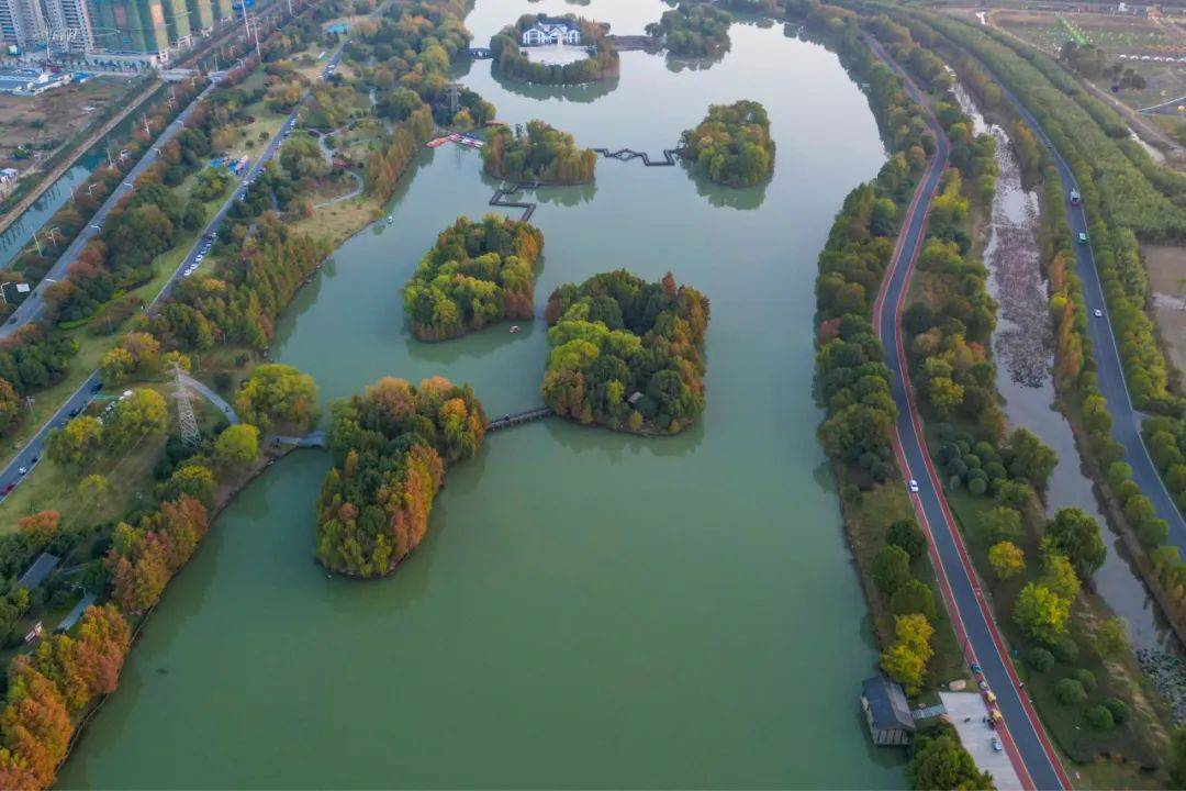 五里湖湿地公园的水上秘境,环境绝佳,太适合拍照了_颍上县_旅游_阜阳