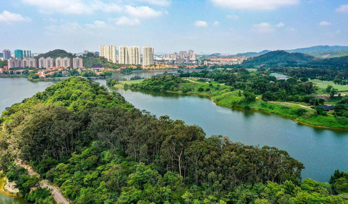 慈溪横河梅湖水库风景如画之地_游客_活动_生态