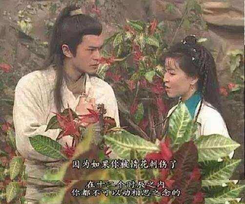 古人云"十步之内,必有解药"那么蝙蝠洞中是否有病毒的解药呢_杨过中