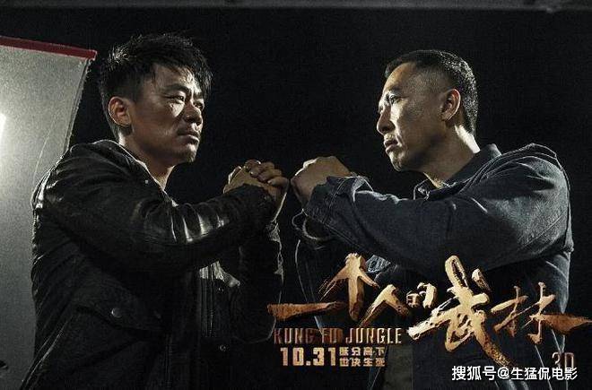 再看依然惊艳,甄子丹和邹兆龙的打戏真的帅,古天乐演技也很棒,范冰冰