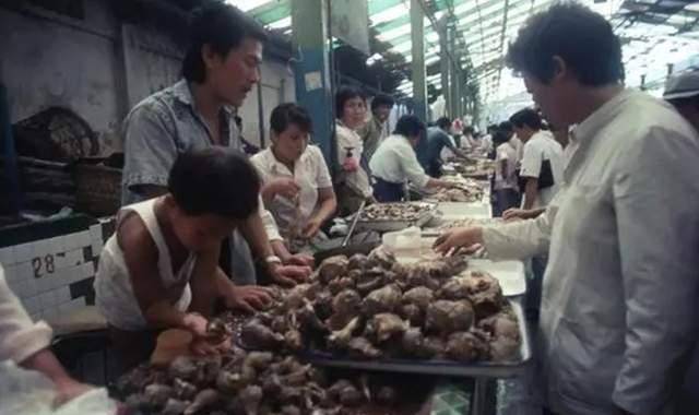 起初,老太太觉得价格太高并不想买,但在沈俊林的