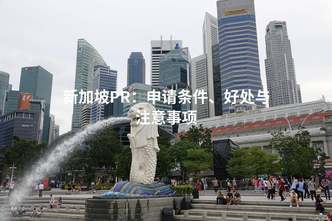 新加坡pr 来自搜狐网