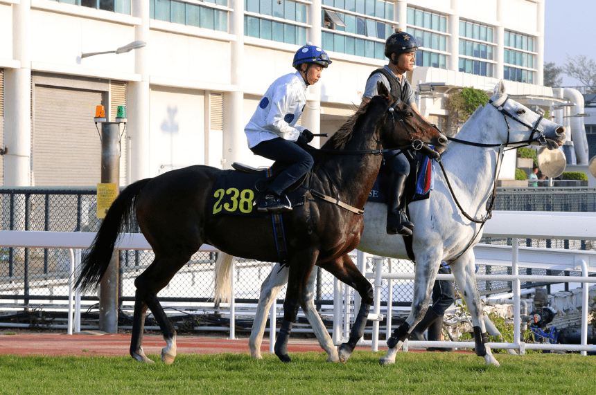 为香港赛马史写下新一页