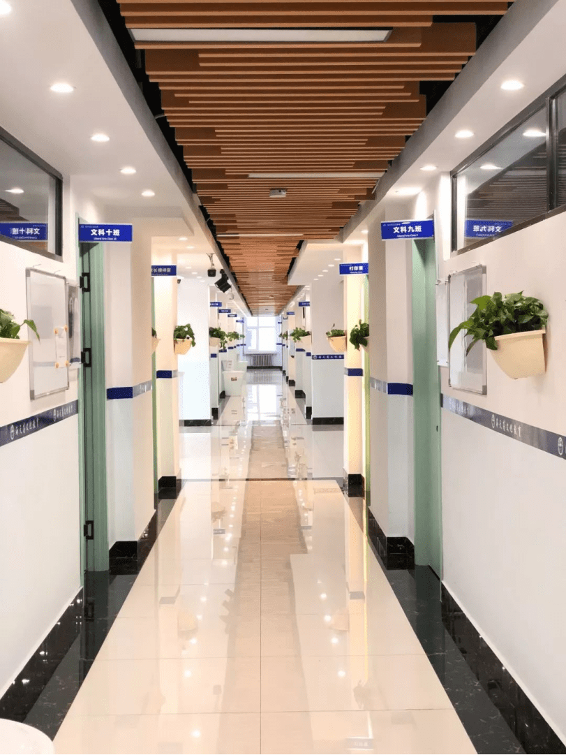 北格美苑艺鑫画室:2024年艺考新政策中的变化_考生_改革_艺术类