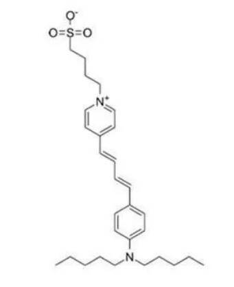 72分子式:c29h42n2o3scas:107610-19-5中文