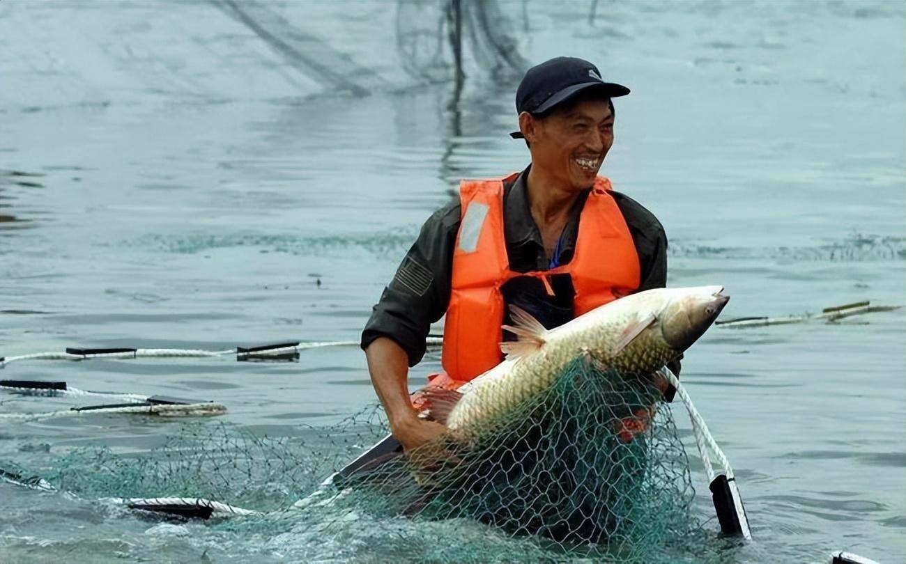 三峡水库蓄水快20年，堪称鱼儿的天堂，水库里的鱼能长多大？(图6)