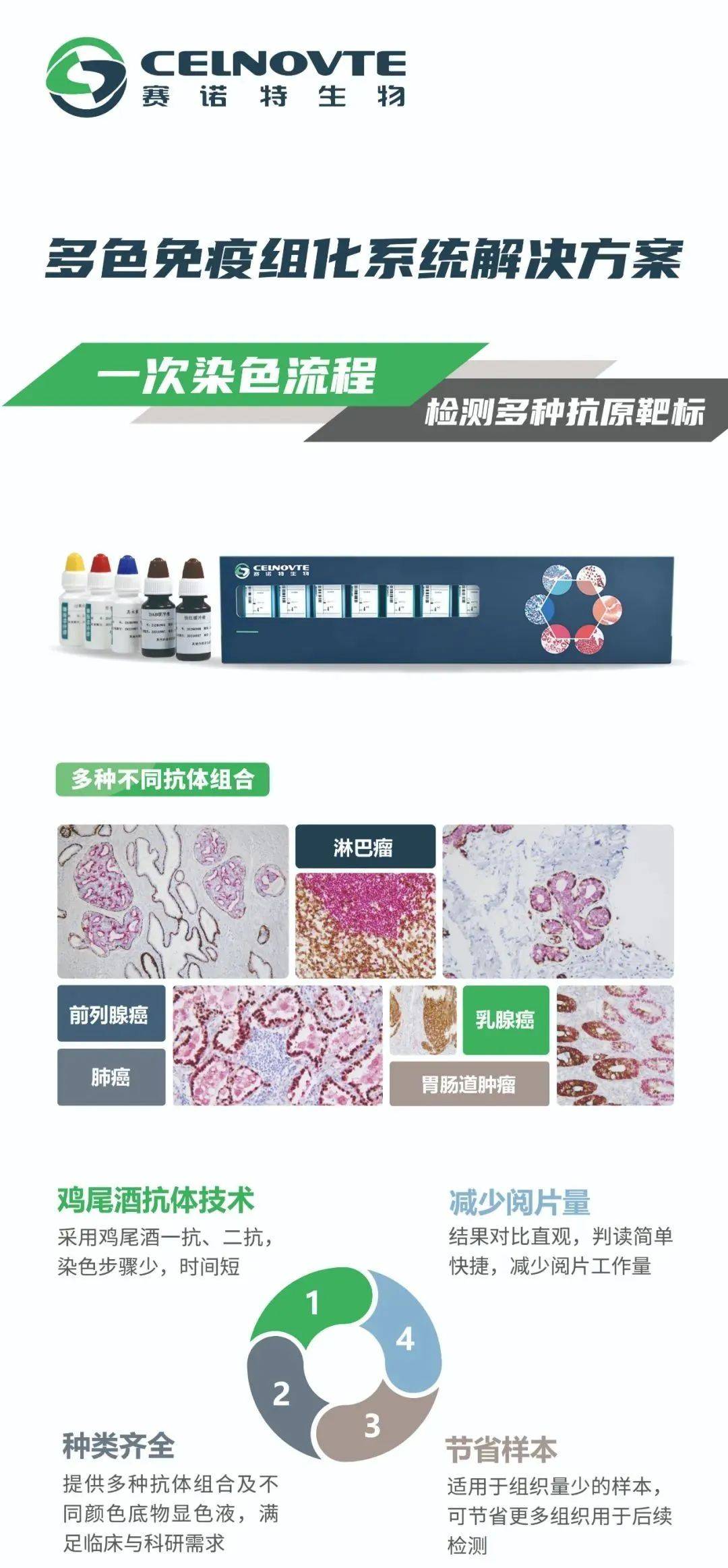 免疫組化雙染在pd-l1檢測中的應用_染色_細胞_評估