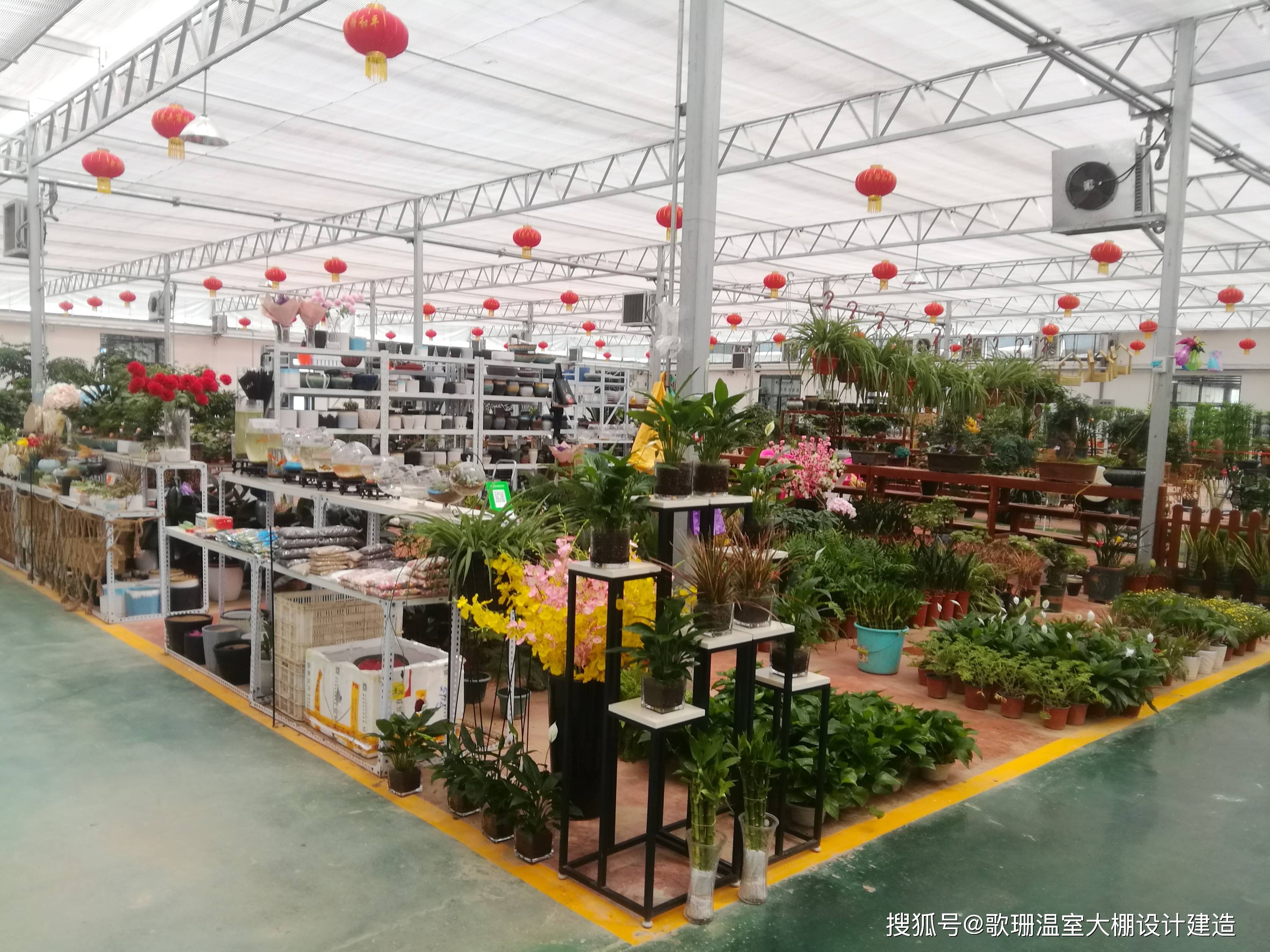 【歌珊温室】花卉种植/花卉销售大棚工程案例_发展_系统_交易