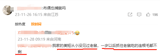 央妈表扬!辽宁盘锦40多只猫咪组队守粮仓,给护粮的猫猫队小卫士点赞! 央妈表扬!辽宁盘锦40多只猫咪组队守粮仓,给护粮的猫猫队小卫士点赞!
