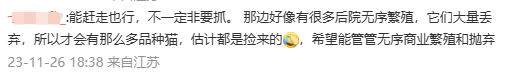 央妈表扬!辽宁盘锦40多只猫咪组队守粮仓,给护粮的猫猫队小卫士点赞! 央妈表扬!辽宁盘锦40多只猫咪组队守粮仓,给护粮的猫猫队小卫士点赞!