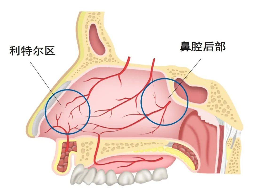 40岁 有高血压的男性尤其要注意