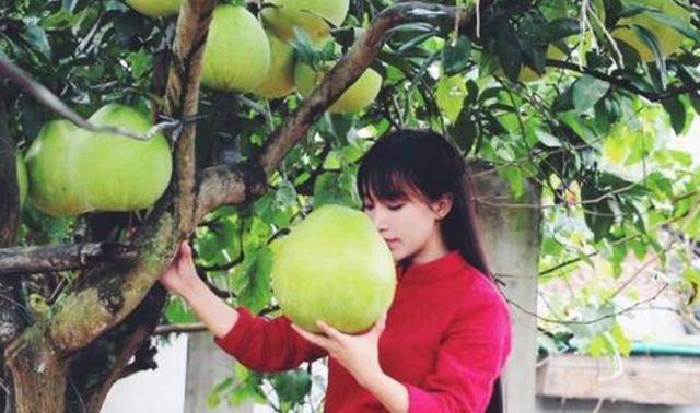 他深山居住7年,一身才华却无所事事:我不是男版李子柒_生活_张二_视频
