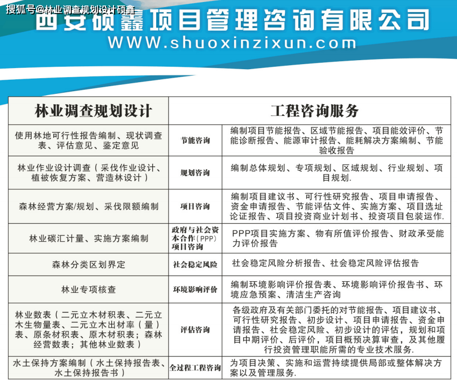 推动绿色革命——生态造林工程助力可持续发展