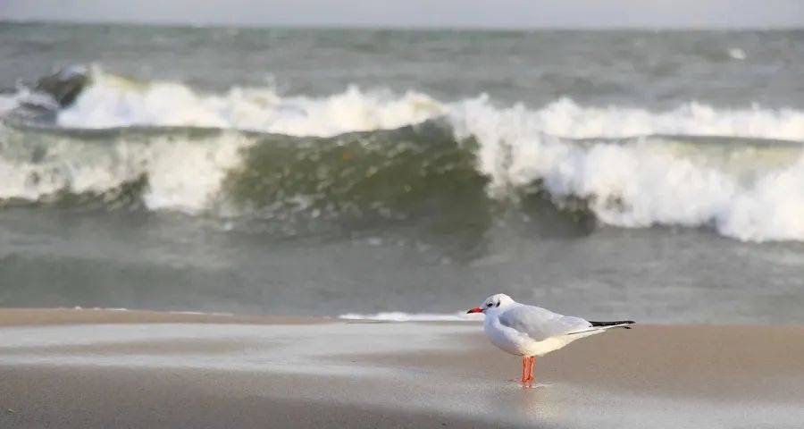 货卖不动很惨但家电市场并不可怕！-家电圈官网