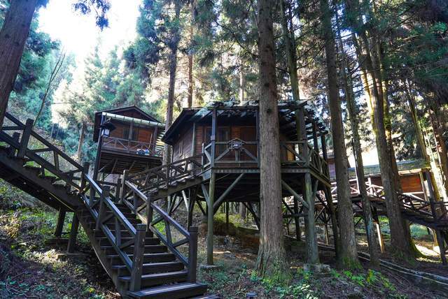 游客可以选择入住森林院子,森林树上宾馆,森林木屋,森林客栈等.