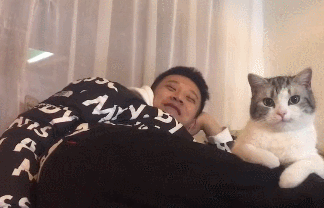 养了猫以后，总有一种自己多了个女朋友的错觉……铲屎官：加1