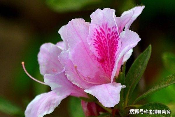 十二生肖中,哪些人12月强运来袭,走上坡路,扭转乾坤