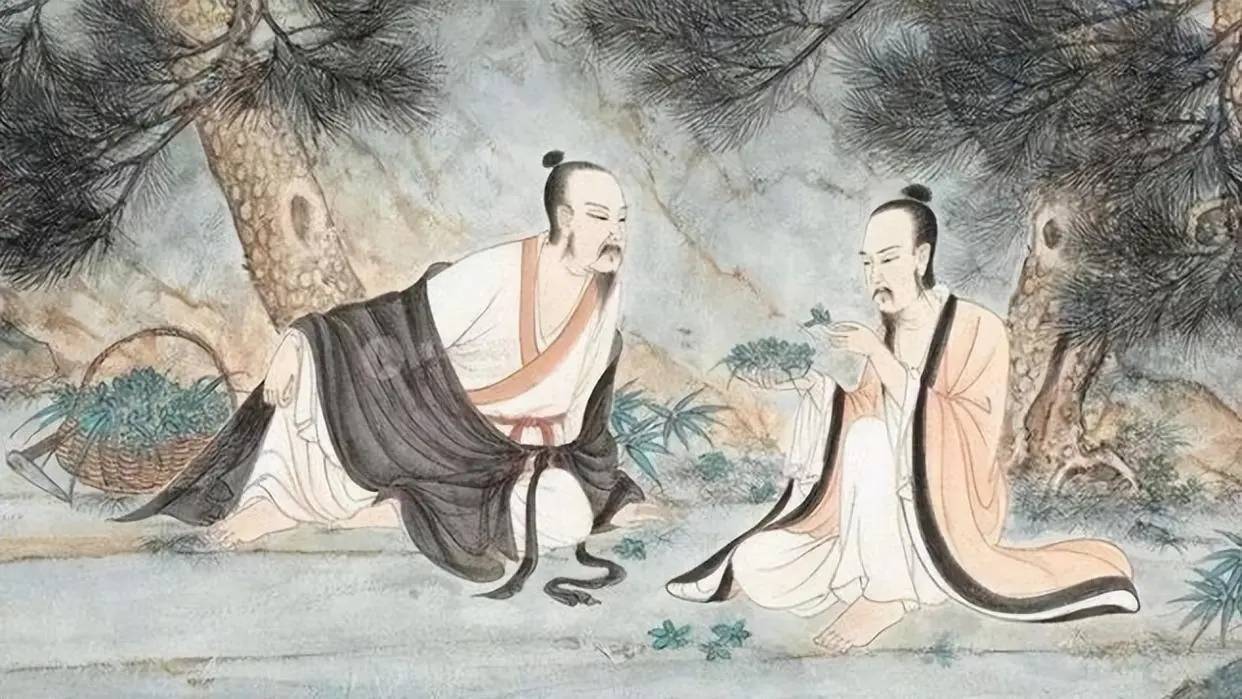 儒弱 来自搜狐网