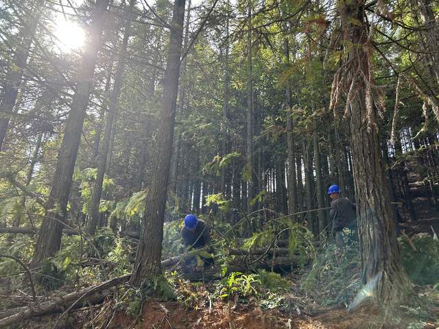 會東:提升綠水青山