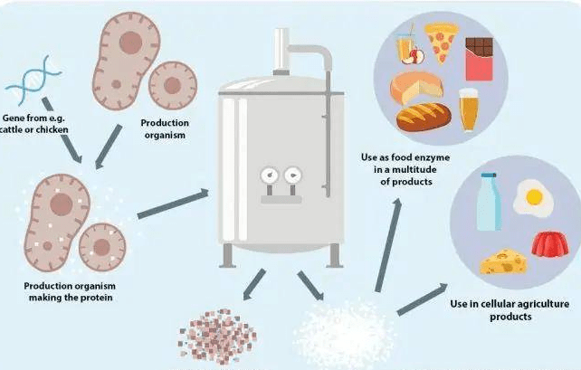 3,感染噬菌体后的发酵罐及其相关联的系统都要经过处理:3