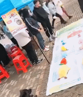 街边套圈套了条小黑狗，狗子当时就蒙了：“我它汪的有家了？” 