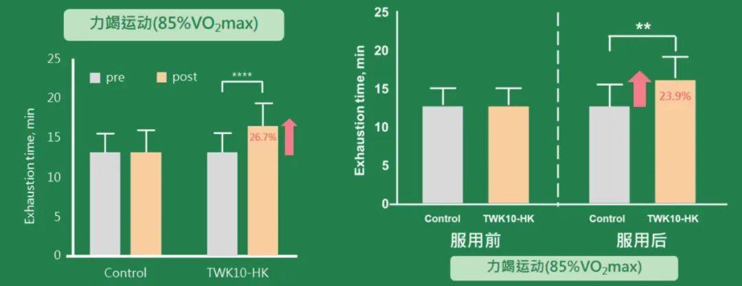 以雙規格解決方案為基,twk10塑造運動營養原料新優勢_影響_肌肉_腸道