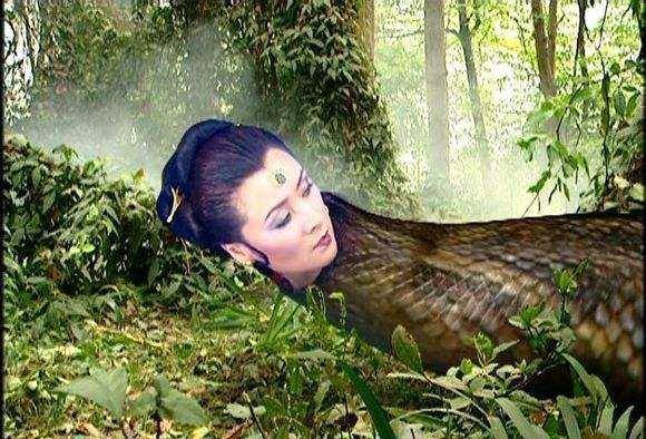 4,蟒蛇精的秘密我们看西游记的设定,其实蛇修炼成功了,脱胎换骨就是龙