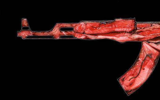 他画ak47不过瘾,改画"mp5"冲锋枪卖40万,专家:毫无艺术性!