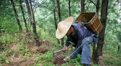 2005年,最美女犯被槍斃後送火葬場沒死,家屬請求:能放了她嗎?