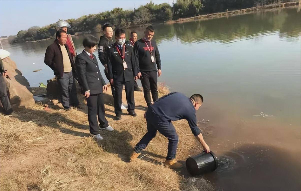明明坐牢加罚款百万，为何电鱼还是屡禁不止？电鱼危害有多大？(图19)