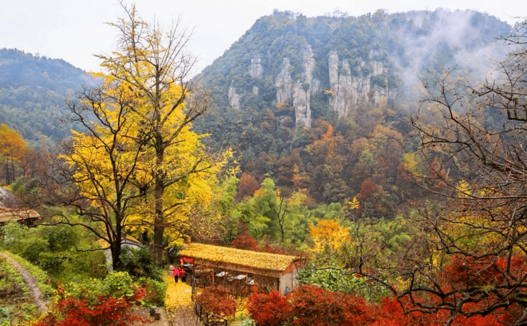 余姚龙泉山图片