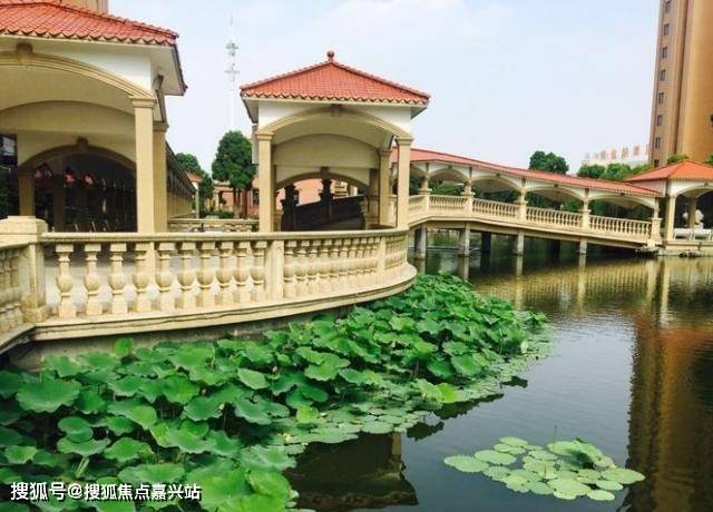 2,香樹灣國際養老社區上海親和谷養老社區是一家專業化養老服務機構.