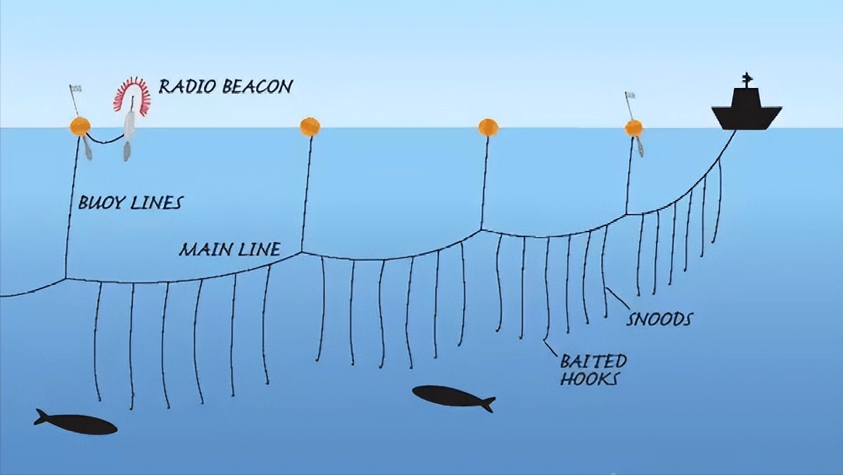 拉网捕鱼方法示意图图片