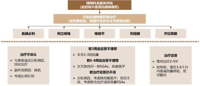 气流粉碎机在抗精神类药物中的应用_治疗_阿立_症状