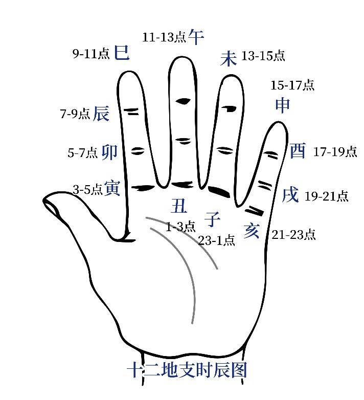 江氏小六壬教程4:十二地支含義屬性等基礎知識詳解_記憶_江陽君_五行