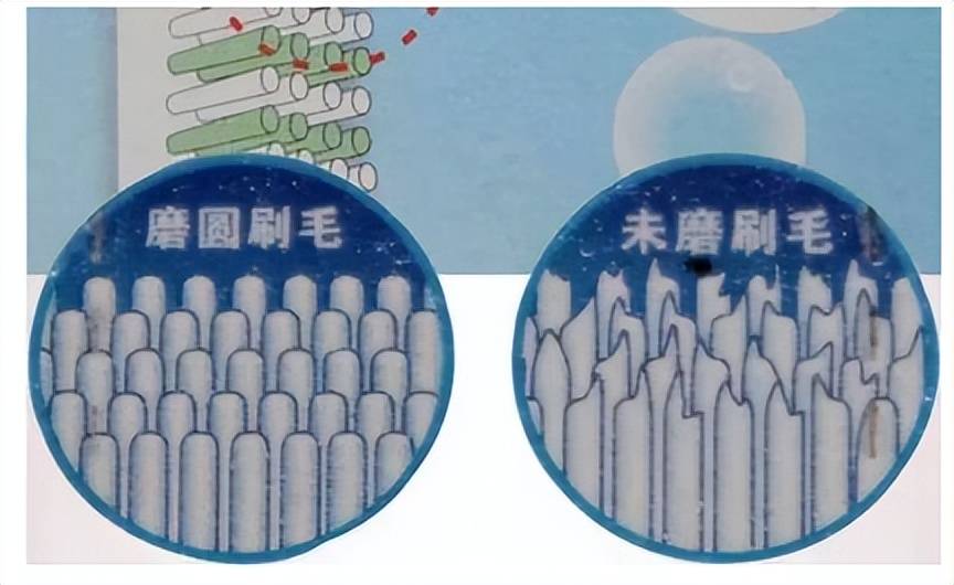 電動牙刷刷牙有危害嗎?首次曝光三大弊病雷點!_口腔_牙齒_專業