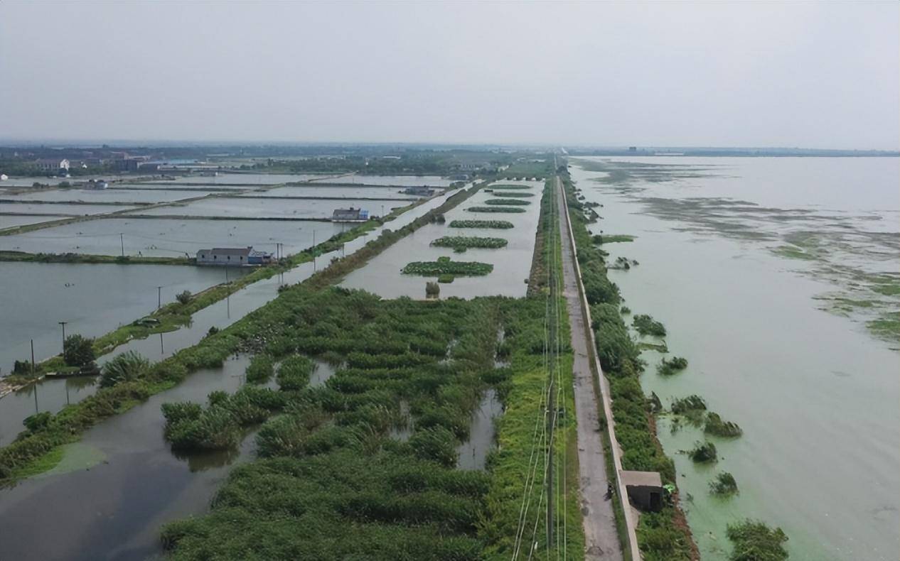 中国随处可见绿化带，为啥注重环保的欧洲几乎没有？他们真不用？(图3)