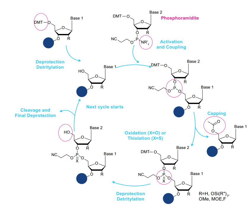 有三個主要缺點:床高度和流量是一個關鍵參數受流量限制的可擴展性