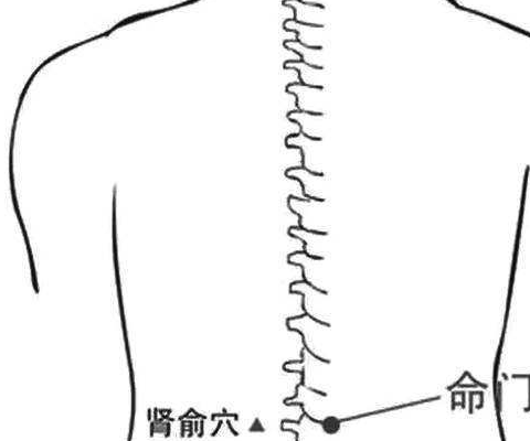 男性前列腺肥大的症狀都有哪些,如何用艾灸的方式調理_穴位_進行_下肢