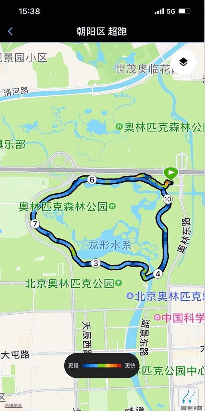 奥森观鸟路线图片