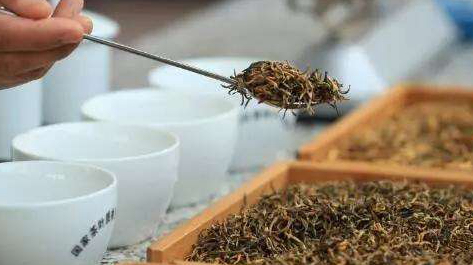 普洱茶这3条容易混淆的知识，很少人分得清，你都分清了吗？(图5)