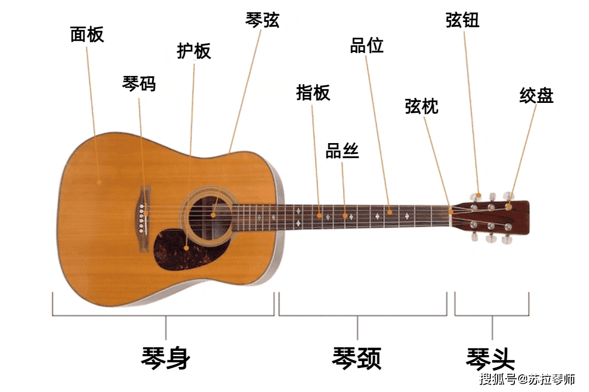 吉他有哪些组成部分图片