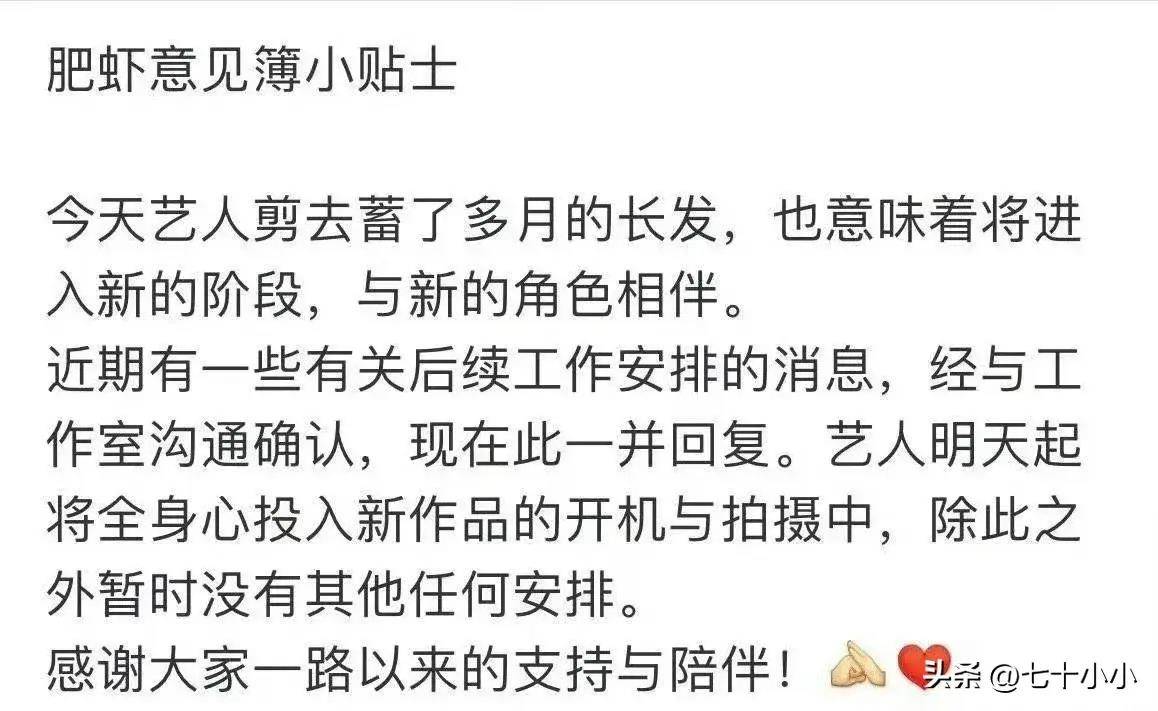 肖战因工作错失跨年,真诚回应工作安排,对粉丝期待感到抱歉_行程_损失