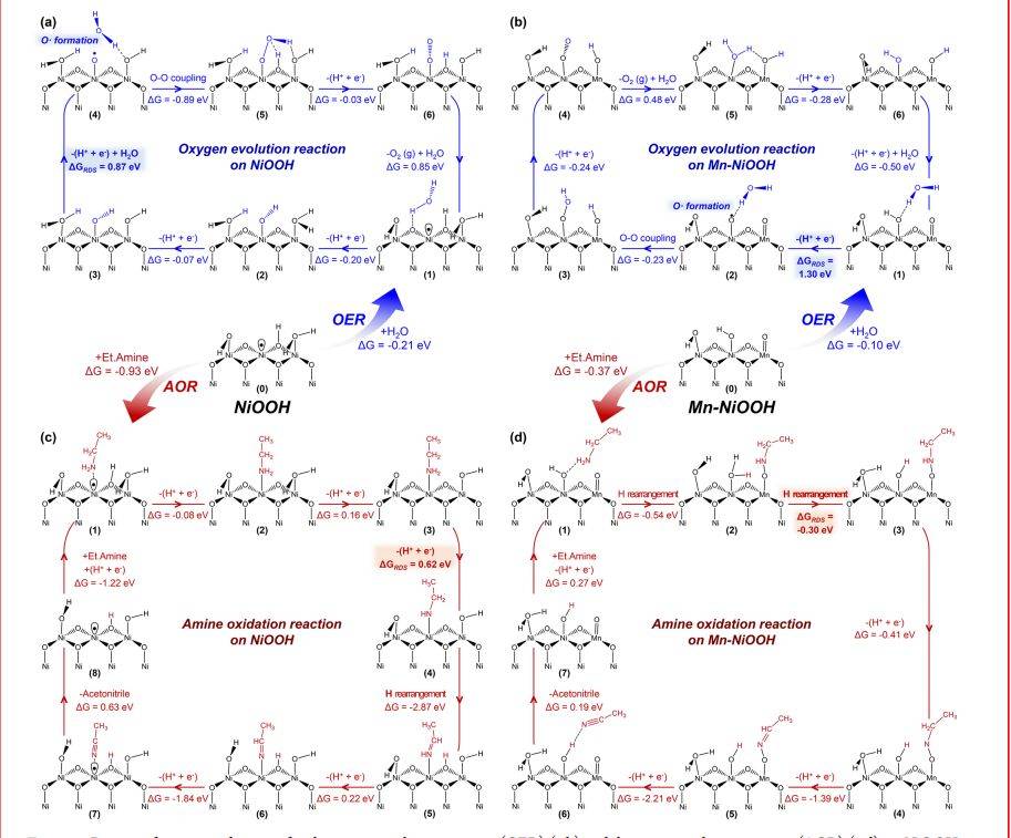 計算 實驗:nature子刊,jacs ,angew,acs catalysis