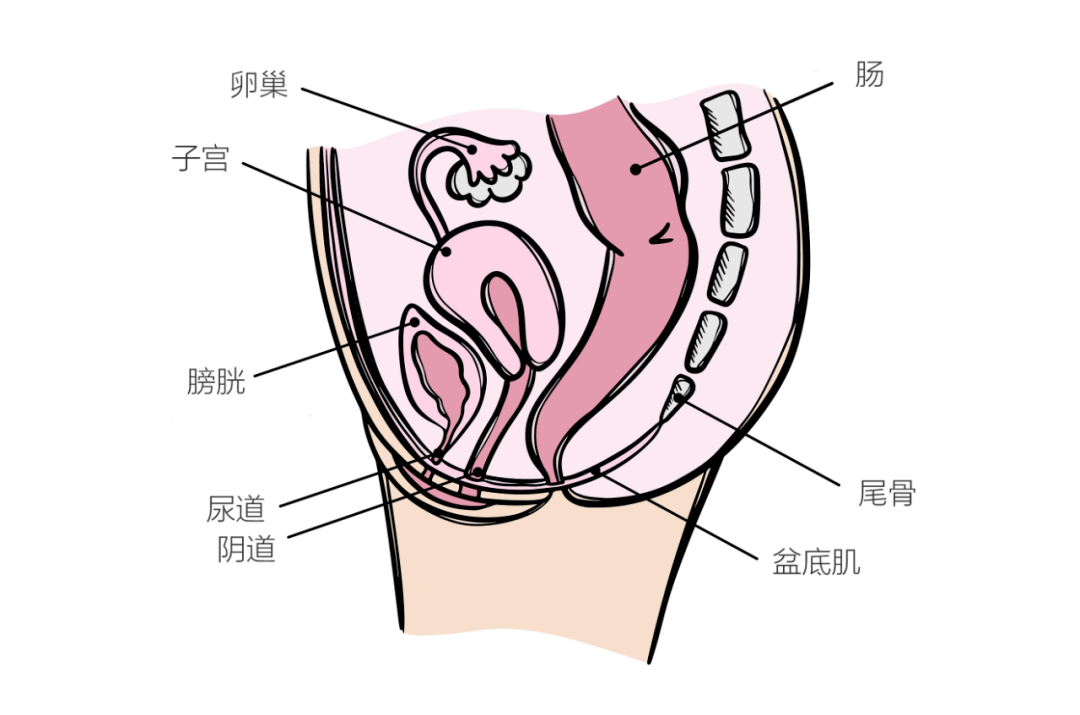 子宮_原因_情況