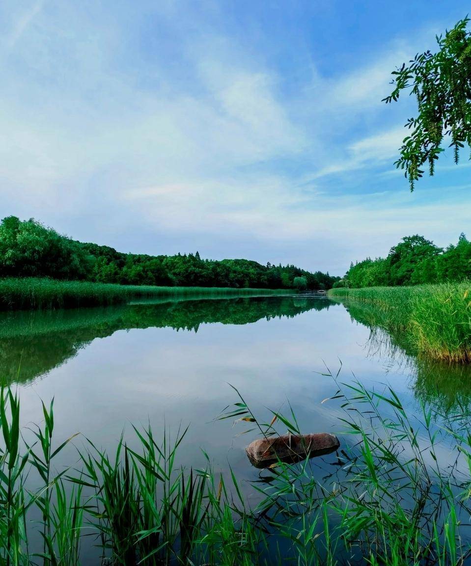 上海闵行浦江第一湾公园美景醉人_黄浦_休闲_人们