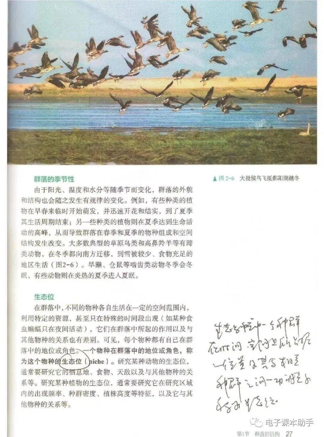 人教版生物必修二图片