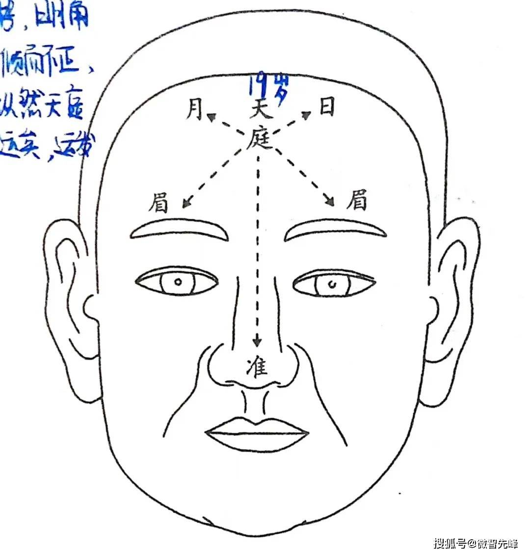 面相九陽混流法_大運_華陽_日月