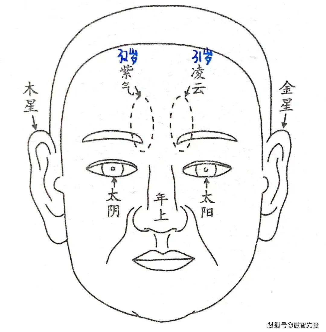 六害眉毛看相图解图片